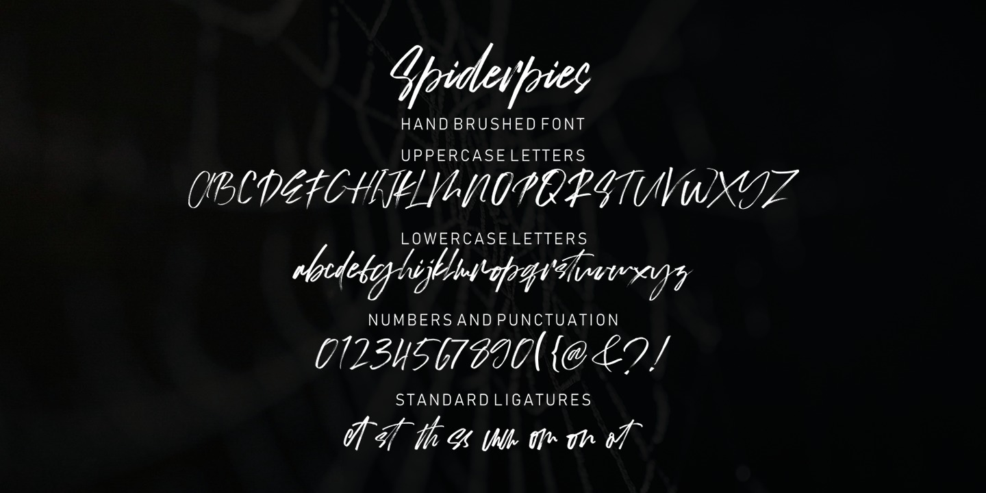 Beispiel einer Spiderpies Regular-Schriftart